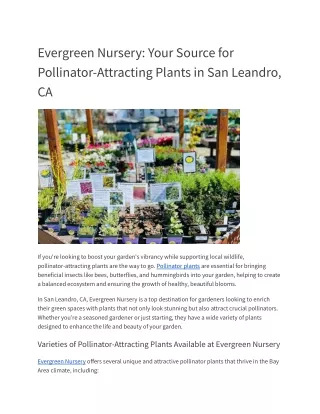 Evergreen Nursery_ Your Source for Pollinator-Attracting Plants in San Leandro, CA