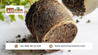 Specializes-in-Providing-Premium-Natural-And-Organic-Coir-Products