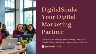 DigitalSouls-Your-Digital-Marketing-Partner