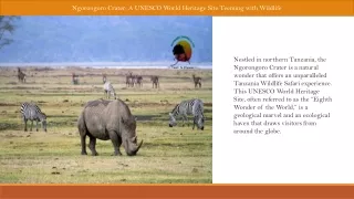 Ngorongoro Crater A UNESCO World Heritage Site Teeming with Wildlife