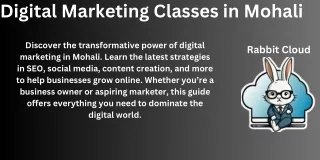 Expert-Led Digital Marketing Classes in Mohali: Start Your Journey Today