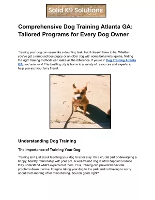 Comprehensive Dog Training Atlanta GA_ Tailored Programs for Every Dog Owner