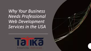 Why Your Business Needs Professional Web Development Services in the USA