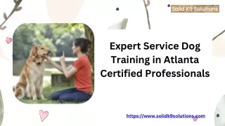 Expert Service Dog Training in Atlanta  Certified Professionals
