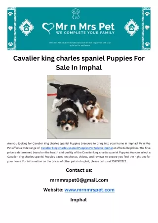 Cavalier king charles spaniel Puppies For Sale In Imphal