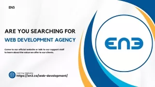 Are You Searching For Web Development Agency