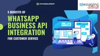 5 Benefits of WhatsApp Business API Integration for Customer Service