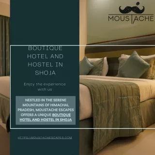 3 Star Hotel and Hostel in Jodhpur: Moustache Escapes