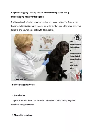 Dog Microchipping Online  How to Microchipping You’re Pets  Microchipping with affordable price