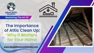 The Importance of Attic Clean Up Why It Matters for Your Home