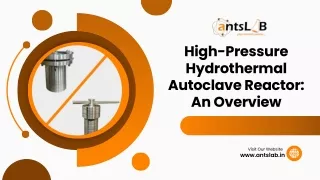 High-Pressure Hydrothermal Autoclave Reactor An Overview