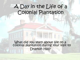 A Day in the Life of a Colonial Plantation