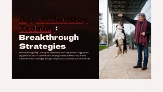 Aggressive Dog Training in Dallas