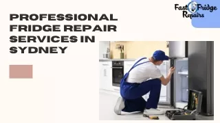 Professional Fridge Repair Services In Sydney