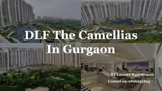DLF The Camellias Apartments | Penthouses for Sale in DLF Phase 5, Gurgaon