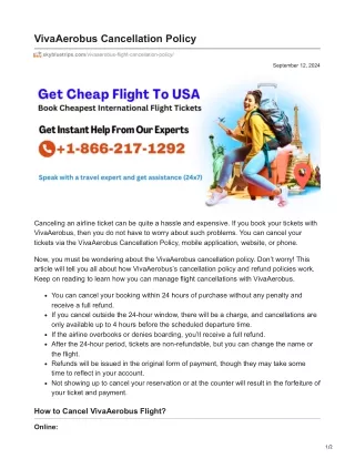 skybluetrips.com-VivaAerobus Cancellation Policy
