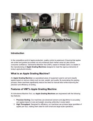 "High-Performance Apple Grading Machine: Precision Sorting Solutions