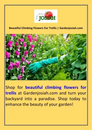 Beautiful Climbing Flowers For Trellis  Gardenjosiah.com