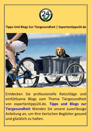 Tipps Und Blogs Zur Tiergesundheit  Expertentipps24.de