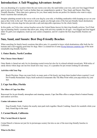 “Sun, Sand, and Snouts: Best Dog-Friendly Beaches”