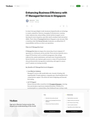 Enhancing Business Efficiency with IT Managed Services in Singapore