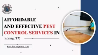 Expert Pest and Rodent Control in Spring TX