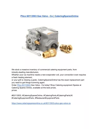 Pitco 60113503 Gas Valve - Ce _ CateringSparesOnline