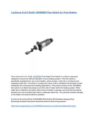 Lochinvar & A.O Smith 100208655 Flow Switch for Pool Heaters