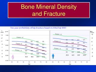 Bone Mineral Density and Fracture