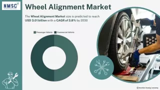 Wheel Alignment Market: Emerging Challenges and Opportunities