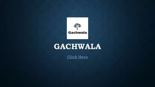 GACHWALA Mushroom