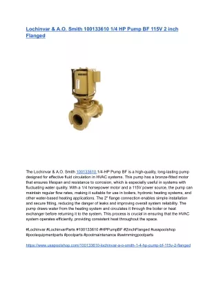 Lochinvar & A.O. Smith 100133610 1/4 HP Pump BF 115V 2 inch Flanged