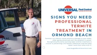 Comprehensive Termite Treatment for Ormond Beach Homes