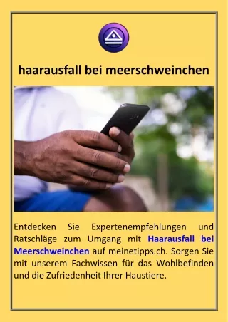 haarausfall bei meerschweinchen  Meinetipps.ch