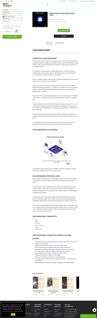 Global Flame Sensor Market 2024-2030