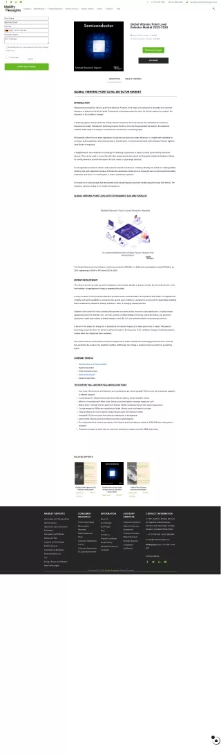 Global Vibronic Point Level Detector size Market 2023-2030