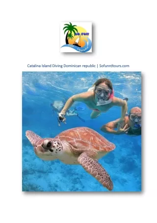 Catalina Island Diving Dominican republic | Sofunrdtours.com
