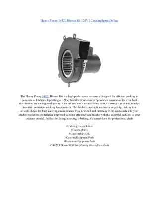 Henny Penny 14420 Blower Kit 120V _ CateringSparesOnline