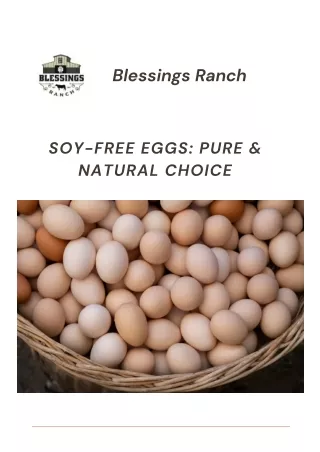 Discover the Benefits of Soy-Free Eggs: A Healthier Choice for You