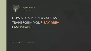 How Stump Removal Can Transform Your Bay Area Landscape?