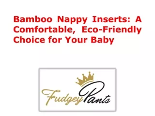 Bamboo Nappy Inserts