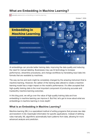 What are Embedding in Machine Learning