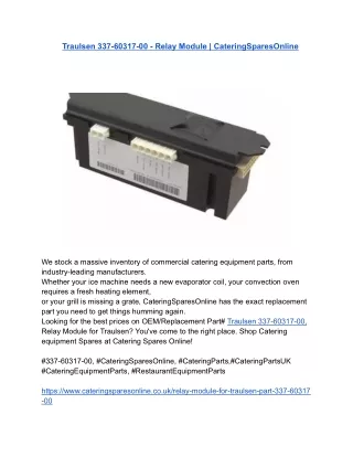 Traulsen 337-60317-00 - Relay Module _ CateringSparesOnline