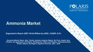 Ammonia Market Dynamics and Strategies for Success 2024-2032