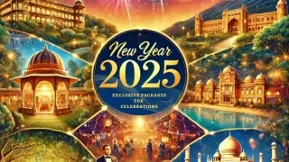 New Year Party Packages 2025 | Contact CYJ for best Packages Near Delhi