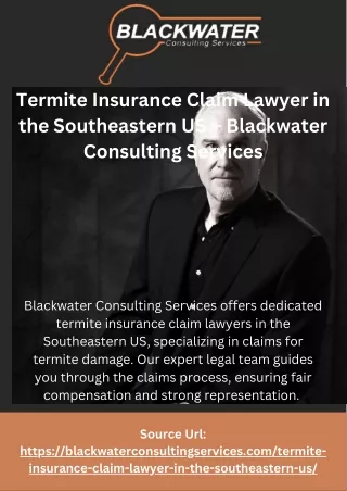 Termite Insurance Claim Lawyer in the Southeastern US – Blackwater Consulting Services