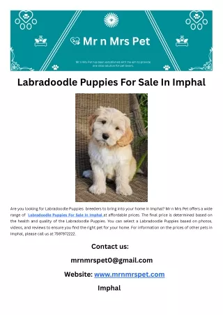 Labradoodle Puppies For Sale In Imphal