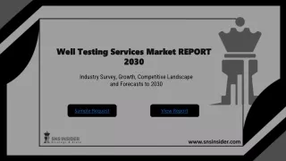 Well Testing Services Market