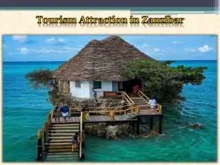 Tourism Attraction in Zanzibar