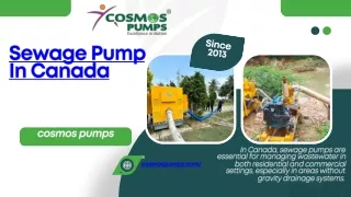 Sewage Pump In Canada- cosmos pumps